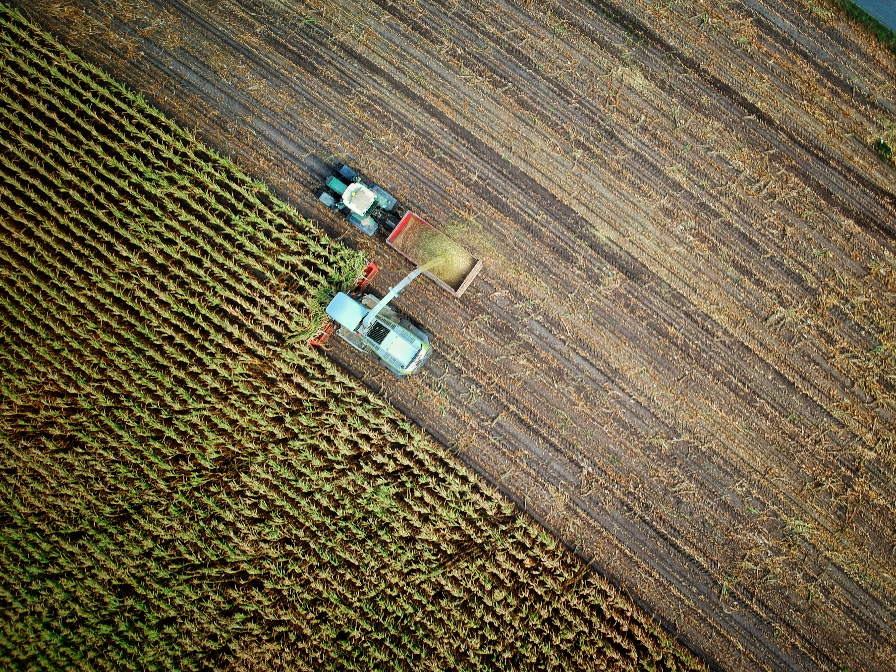 Raddoppiano le indennità compensative per le imprese agricole di montagna e in zone svantaggiate