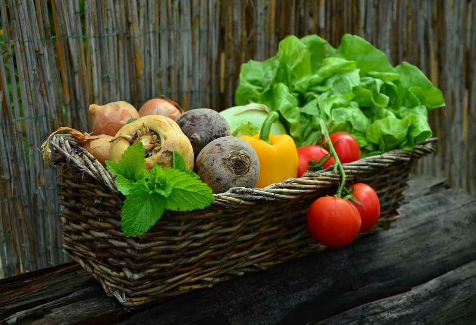 Incontro con la cittadinanza: alimentazione e stile di vita sano